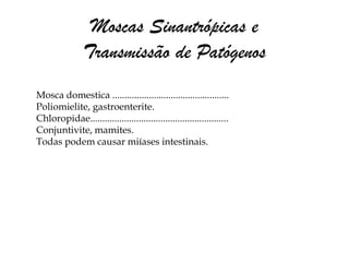 Moscas Sinantrópicas e
                Transmissão de Patógenos
Mosca domestica ................................................
Poliomielite, gastroenterite.
Chloropidae.........................................................
Conjuntivite, mamites.
Todas podem causar miíases intestinais.
 