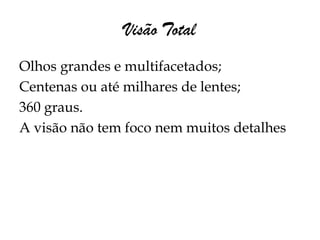 Visão Total
Olhos grandes e multifacetados;
Centenas ou até milhares de lentes;
360 graus.
A visão não tem foco nem muitos detalhes
 