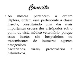 Conceito
• As    moscas     pertencem     à   ordem
  Díptera, ordem essa pertencente à classe
  Insecta, constituindo uma das mais
  importantes ordens dos artrópodos sob o
  ponto de vista médico veterinário, porque
  estes insetos são hospedeiros ou
  transmissores de inúmeros agentes
  patogênicos
  bacterianos,   virais,   protozoários   e
  helmínticos.
 