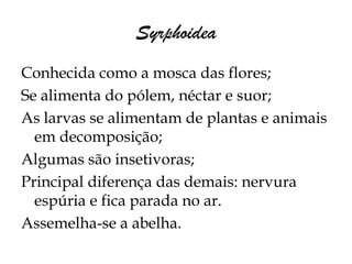 Syrphoidea
Conhecida como a mosca das flores;
Se alimenta do pólem, néctar e suor;
As larvas se alimentam de plantas e animais
  em decomposição;
Algumas são insetivoras;
Principal diferença das demais: nervura
  espúria e fica parada no ar.
Assemelha-se a abelha.
 