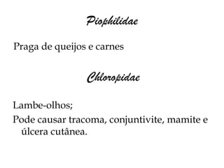 Piophilidae
Praga de queijos e carnes


                Chloropidae

Lambe-olhos;
Pode causar tracoma, conjuntivite, mamite e
 úlcera cutânea.
 