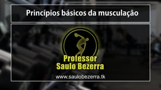 www.saulobezerra.tk
 