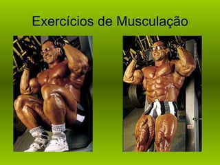 Exercícios de Musculação
 