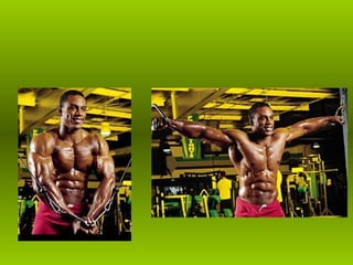 Musculacao planos e eixos