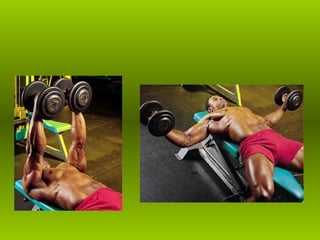 Musculacao planos e eixos