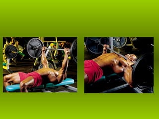 Musculacao planos e eixos