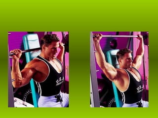 Musculacao planos e eixos