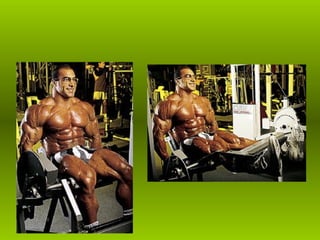 Musculacao planos e eixos