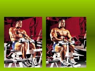 Musculacao planos e eixos