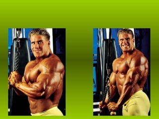 Musculacao planos e eixos