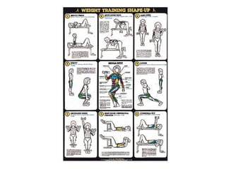 Musculacao planos e eixos