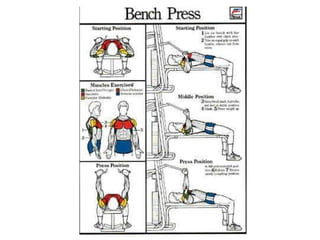 Musculacao planos e eixos