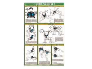 Musculacao planos e eixos