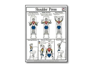 Musculacao planos e eixos