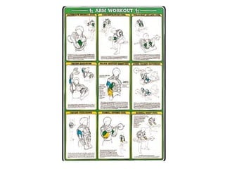 Musculacao planos e eixos