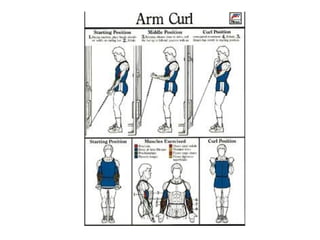 Musculacao planos e eixos