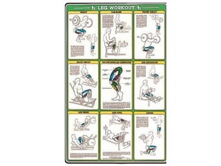 Musculacao planos e eixos