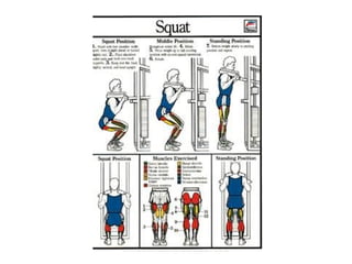 Musculacao planos e eixos