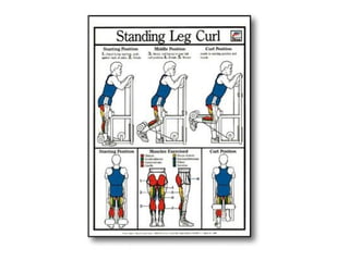 Musculacao planos e eixos