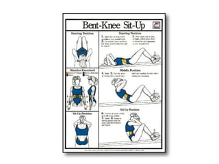 Musculacao planos e eixos