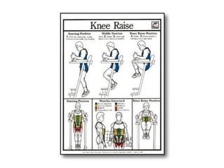 Musculacao planos e eixos