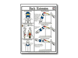 Musculacao planos e eixos