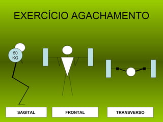 EXERCÍCIO AGACHAMENTO


50
KG




 SAGITAL   FRONTAL   TRANSVERSO
 
