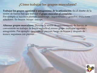 ¿Cómo trabajar los grupos musculares?
Trabajar los grupos agonistas y antagonistas de la articulación. En el diseño de la
sesión de fuerza hay que trabajar el grupo muscular al completo.
Por ejemplo si hacemos piernas: cuádriceps - isquiotibiales y gemelos; abductores aductores. En brazos: bíceps - tríceps.
Alternar grupos musculares. Durante la sesión de entrenamiento de fuerza, es
conveniente no trabajar de forma seguida el mismo grupo muscular agonista antagonista. Por ejemplo: ejercicios de piernas, luego de brazos y después de
tronco, seguimos con piernas....

 