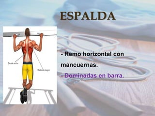 ESPALDA
- Remo horizontal con
mancuernas.
- Dominadas en barra.

 