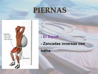 PIERNAS

- El Squat.
- Zancadas inversas con
barra.

 