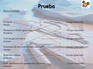 Busca la pareja:

Prueba

El Squat
bíceps

Grupo muscular

Flexiones rodillas apoyadas
hombros

Grupo muscular

Curl en pie con barra
piernas

Grupo muscular

Extensión de los codos tronco adelante
tríceps

Grupo muscular

Rotación cubana
pectoral

Grupo muscular

Curl antebrazos en supinación con barra
espalda

Grupo muscular

 