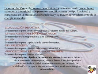 LA MUSCULACIÓN
La musculación es el conjunto de actividades, sucesivamente crecientes en
volumen e intensidad, que permiten modificaciones de tipo funcional y
estructural en la musculatura esquelética y su mayor aprovechamiento de la
energía muscular.
LA PODEMOS ENTENDER COMO:
-MUSCULACIÓN DEPORTIVA
Entrenamiento para tonificar y o muscular ciertas zonas del cuerpo.
-LEVANTAMIENTO DE POTENCIA(VASCOS).
Entrenamiento de preparación a una competición.
-SALUD.
Entrenamiento para la pérdida de peso y bienestar.
-REHABILITACIÓN.
Entrenamiento para la mejora de la condición física.
-FISIOCULTURISMO( FITNESS y/o CULTURISMO).
Entrenamiento para la musculación.
Los principales objetivos de la musculación son: incrementar la fuerza
sin aumento del peso corporal, mejorar la condición física genérica
como medio de acondicionamiento muscular, ser un medio de
rehabilitación o recuperación tras lesiones, intervenciones quirúrgicas o
enfermedades.

 