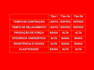 Tipo I   Tipo IIa   Tipo IIb

TEMPO DE CONTRAÇÃO      LENTO RÁPIDO        RÁPIDO

TEMPO DE RELAXAMENTO    LENTO RÁPIDO        RÁPIDO

 PRODUÇÃO DE FORÇA      BAIXA     ALTA       ALTA

EFICIÊNCIA ENERGÉTICA   ALTA     BAIXA      BAIXA

 RESISTÊNCIA À FADIGA   ALTA     BAIXA      BAIXA

    ELASTICIDADE        BAIXA     ALTA       ALTA
 