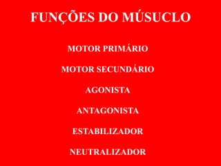 FUNÇÕES DO MÚSUCLO

    MOTOR PRIMÁRIO

   MOTOR SECUNDÁRIO

       AGONISTA

     ANTAGONISTA

    ESTABILIZADOR

    NEUTRALIZADOR
 