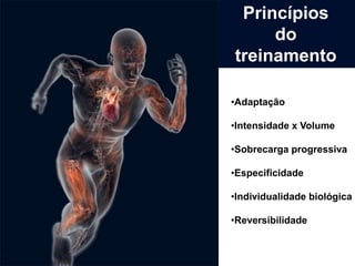 Princípios
     do
treinamento

•Adaptação

•Intensidade x Volume

•Sobrecarga progressiva

•Especificidade

•Individualidade biológica

•Reversibilidade
 