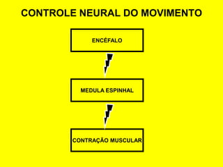 CONTROLE NEURAL DO MOVIMENTO

            ENCÉFALO




         MEDULA ESPINHAL




       CONTRAÇÃO MUSCULAR
 