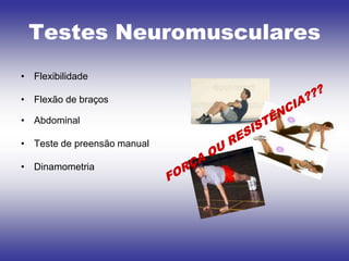 Testes Neuromusculares
• Flexibilidade

• Flexão de braços

• Abdominal

• Teste de preensão manual

• Dinamometria
 