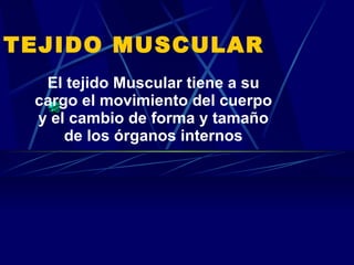 TEJIDO MUSCULAR El tejido Muscular tiene a su cargo el movimiento del cuerpo y el cambio de forma y tamaño de los órganos internos 