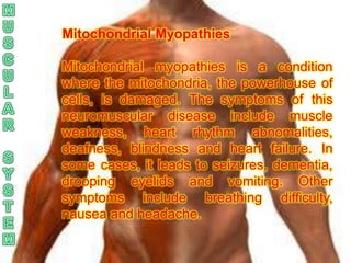Mitochondrial Myopathies

Mitochondrial myopathies is a condition
where the mitochondria, the powerhouse of
cells, is damaged. The symptoms of this
neuromuscular disease include muscle
weakness, heart rhythm abnomalities,
deafness, blindness and heart failure. In
some cases, it leads to seizures, dementia,
drooping eyelids and vomiting. Other
symptoms include breathing difficulty,
nausea and headache.
 