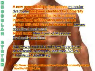 A new gene mutation that causes muscular
dystrophy has been identified by University
of Iowa researchers thanks to a strong
international collaboration and a single
patient with mild muscle disease and severe
cognitive impairment.
Read more: New Form of Muscular
Dystrophy Identified

http://www.medindia.net/news/New-Form-
of-Muscular-Dystrophy-Identified-82128-
1.htm#ixzz1SdelMK9Q

http://www.medindia.net/news/New-Form-of-Muscular-Dystrophy-
Identified-82128-1.htm
 