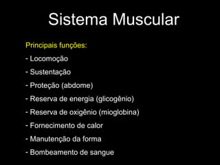 Sistema Muscular
Principais funções:
- Locomoção
- Sustentação
- Proteção (abdome)
- Reserva de energia (glicogênio)
- Reserva de oxigênio (mioglobina)
- Fornecimento de calor
- Manutenção da forma
- Bombeamento de sangue

 