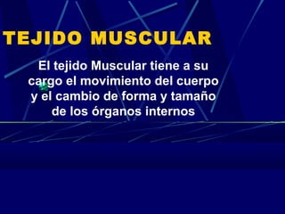 TEJIDO MUSCULAR
El tejido Muscular tiene a su
cargo el movimiento del cuerpo
y el cambio de forma y tamaño
de los órganos internos
 