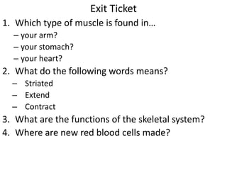 Muscular and skeletal systems | PPT