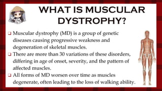 WHAT IS MUSCULAR
DYSTROPHY?
❑ Muscular dystrophy (MD) is a group of genetic
diseases causing progressive weakness and
degeneration of skeletal muscles.
❑ There are more than 30 variations of these disorders,
differing in age of onset, severity, and the pattern of
affected muscles.
❑ All forms of MD worsen over time as muscles
degenerate, often leading to the loss of walking ability.
 