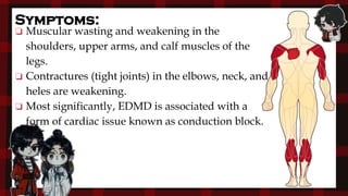Symptoms:
❏ Muscular wasting and weakening in the
shoulders, upper arms, and calf muscles of the
legs.
❏ Contractures (tight joints) in the elbows, neck, and
heles are weakening.
❏ Most significantly, EDMD is associated with a
form of cardiac issue known as conduction block.
 