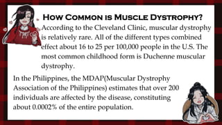 How Common is Muscle Dystrophy?
According to the Cleveland Clinic, muscular dystrophy
is relatively rare. All of the different types combined
effect about 16 to 25 per 100,000 people in the U.S. The
most common childhood form is Duchenne muscular
dystrophy.
In the Philippines, the MDAP(Muscular Dystrophy
Association of the Philippines) estimates that over 200
individuals are affected by the disease, constituting
about 0.0002% of the entire population.
 