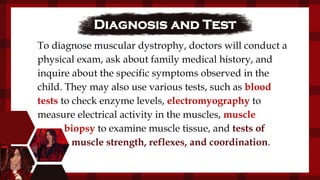 Diagnosis and Test
To diagnose muscular dystrophy, doctors will conduct a
physical exam, ask about family medical history, and
inquire about the specific symptoms observed in the
child. They may also use various tests, such as blood
tests to check enzyme levels, electromyography to
measure electrical activity in the muscles, muscle
biopsy to examine muscle tissue, and tests of
muscle strength, reflexes, and coordination.
 