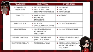 FEATURES MYOPATHY DYSTROPHY
EXAMPLES OF
DISORDERS
➢ THYROID DISEASE
➢ CENTRONUCLEAR
➢ CENTRAL CORE DISEASE
❖ DUCHENE
❖ BECKER
❖ LIMB GIRDLE
ETIOLOGY ➢ CONGENITAL
➢ METABOLIC
➢ ENDOCRINE
❖ GENETIC
INHERITANCE ➢ SPORADIC
➢ AUTOSOMAL RECESSIVE
❖ ALWAYS INHERITED
PROGRESSION ➢ STATIC OR IMPROVE
WITH TIME OR
TREATMENT
❖ ALWAYS PROGRESSIVE
MUSCLE ENZYMES ➢ MILDLY INCREASED
(100s) OR NORMAL
❖ MARKEDLY INCREASED
(1000s)
ELECTROMYOGRAPY ➢ NO FIBRILLATIONS ❖ FIBRILLATIONS BECAUSE
OF ACTIVE MUSCLE
NECROSIS
 