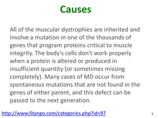 Causes
   All of the muscular dystrophies are inherited and
   involve a mutation in one of the thousands of
   genes that program proteins critical to muscle
   integrity. The body's cells don't work properly
   when a protein is altered or produced in
   insufficient quantity (or sometimes missing
   completely). Many cases of MD occur from
   spontaneous mutations that are not found in the
   genes of either parent, and this defect can be
   passed to the next generation.
http://www.fitango.com/categories.php?id=97            3
 
