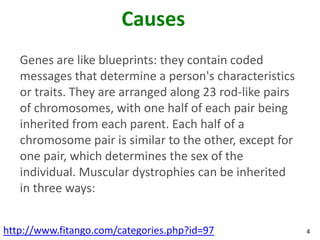 Causes
   Genes are like blueprints: they contain coded
   messages that determine a person's characteristics
   or traits. They are arranged along 23 rod-like pairs
   of chromosomes, with one half of each pair being
   inherited from each parent. Each half of a
   chromosome pair is similar to the other, except for
   one pair, which determines the sex of the
   individual. Muscular dystrophies can be inherited
   in three ways:


http://www.fitango.com/categories.php?id=97               4
 